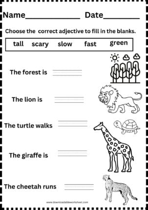 Adjectives and nouns