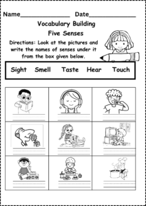 Five Senses Worksheet Free for Kindergarten and Grade 1