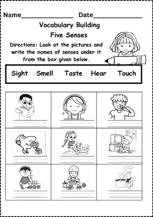 five senses