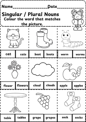 Singular plural Nouns Grade 1