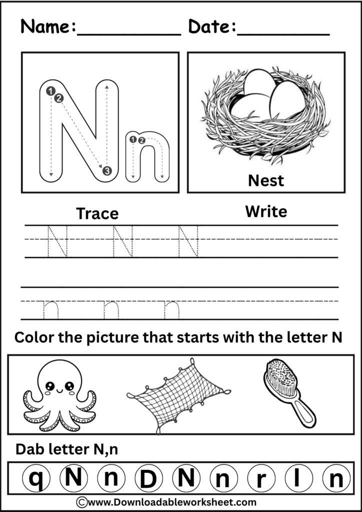 Letter N Worksheet