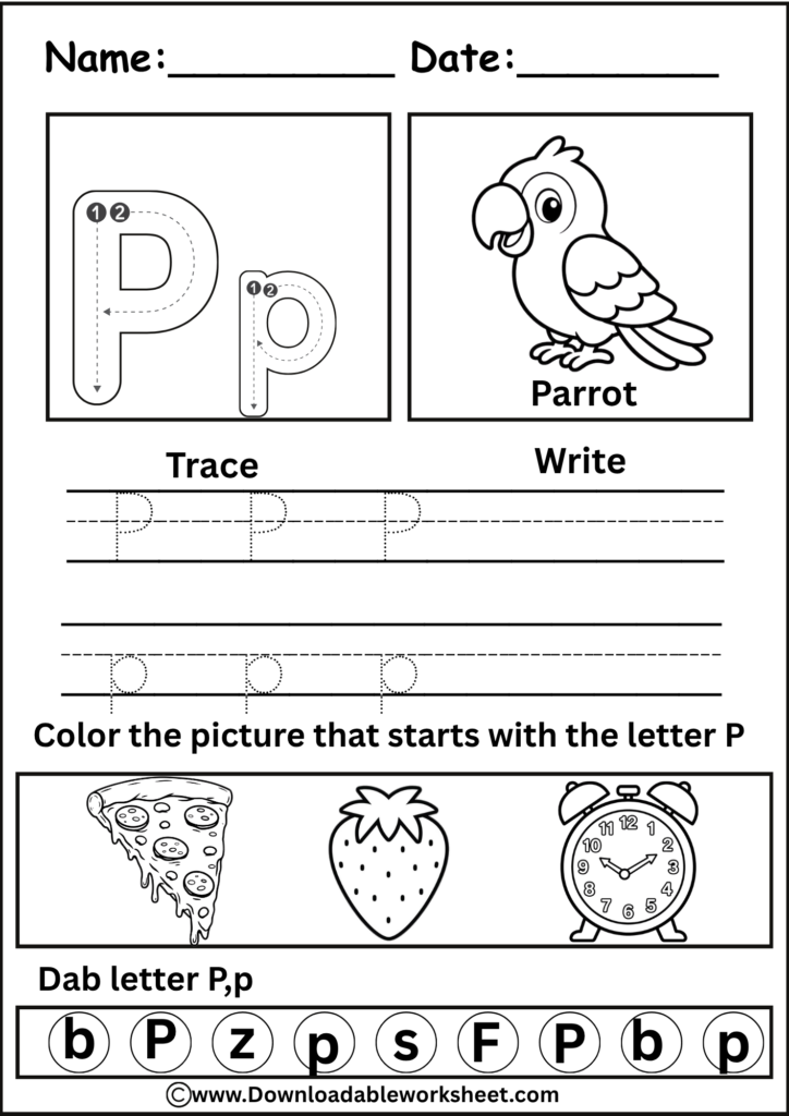 Letter P Worksheet
