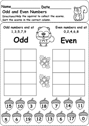 Odd and Even Numbers Worksheet for Grade 1