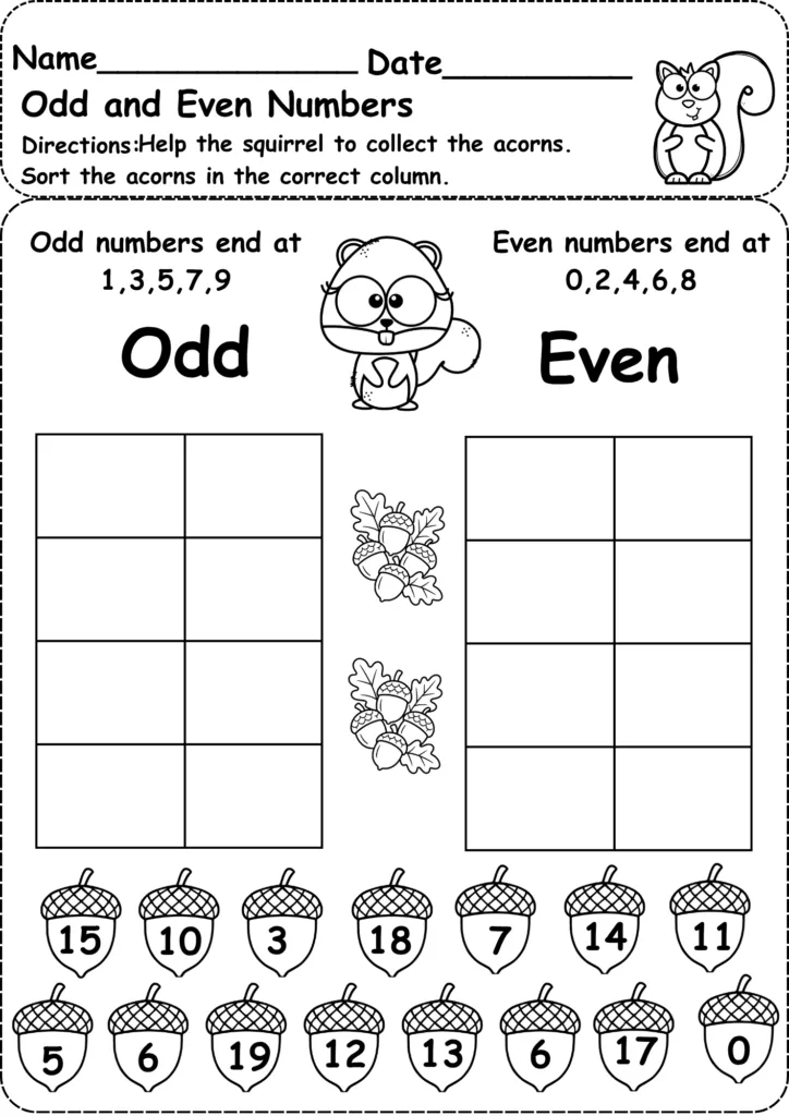 Odd and Even Numbers Worksheet for Grade 1